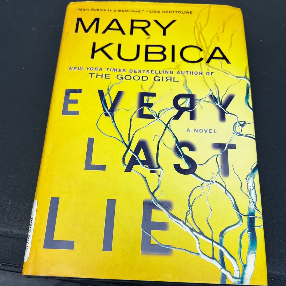 Every Last Lie by Mary Kubica - Hardcover Novel